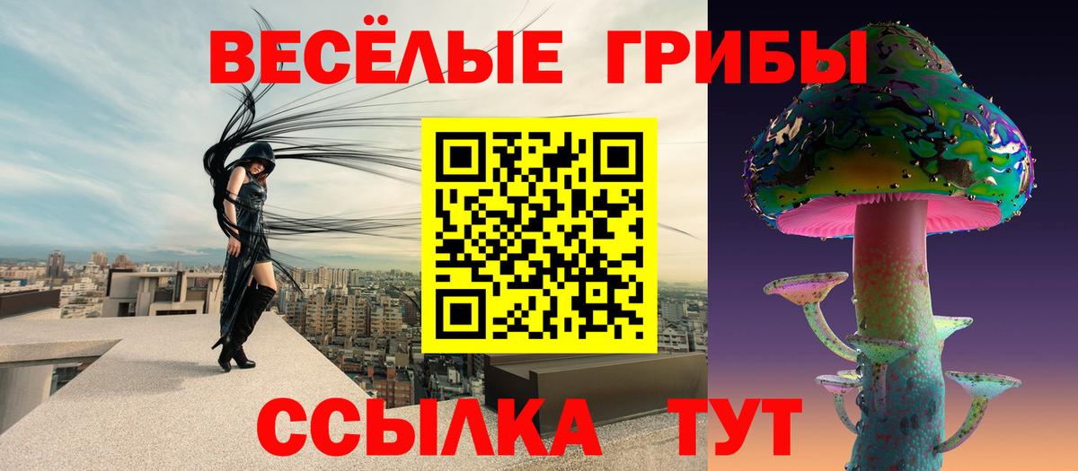 Галлюциногенные грибы мицелий  Вход с VPN  Вышний Волочёк 